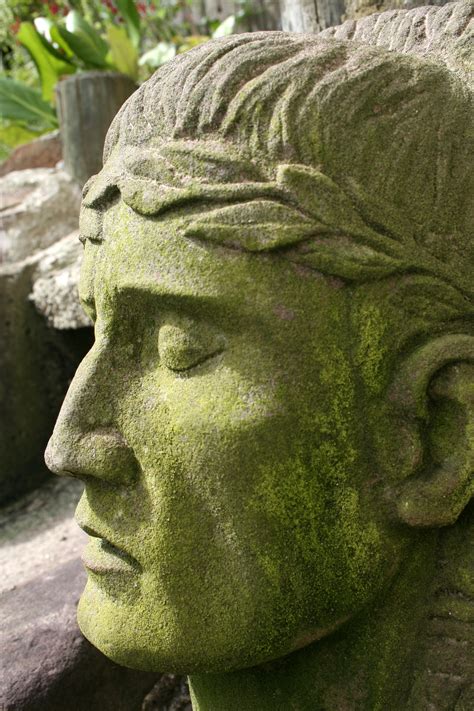 Kostenlose Foto Rock Stein Monument Statue Grün Botanik