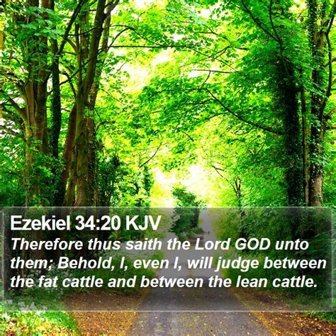 Ezekiel 3420 Kjv Bible Verse Images