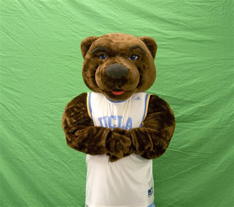 UCLA Official Mascot | AdmissionSight