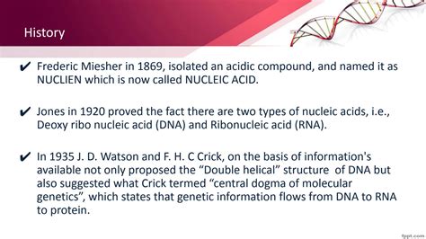 Solution Nucleic Acid Class Lecture Studypool