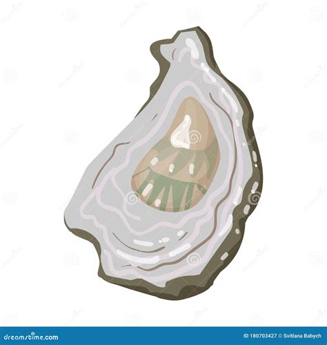 Oyster Vector Iconcartoon Vector Icon Isolated On White Background