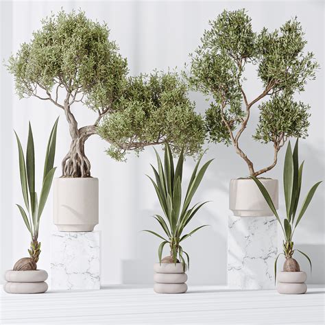 ArtStation - Indoor plant set 20 | Resources