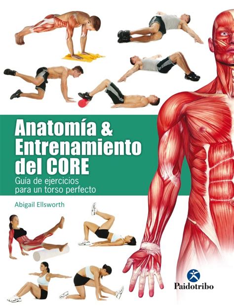 Anatomia Y Entrenamiento Del Core Guia De Ejercic 11
