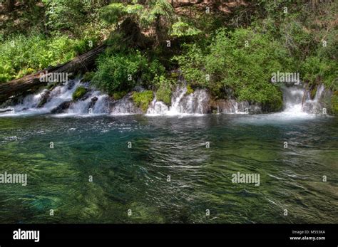 Cold Springs Pour Into The Metolius River Near Wizard Falls Stock Photo