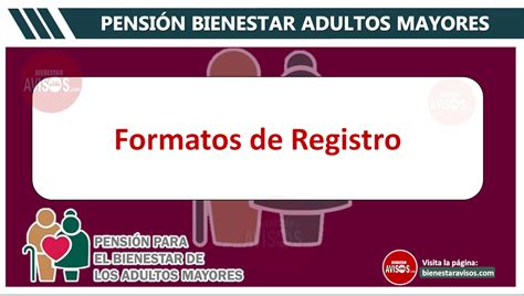 Registro Pensión Adultos Mayores 2025 Erica Natividad