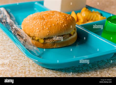 Elementary school lunch cheeseburger with ripple cut french fries ...