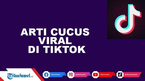 Arti Cucus Viral Di Tiktok Istilah Bahasa Gaul Populer Di Kalangan