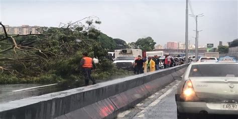 Árboles Caídos Y Colapso De Vías Tras Lluvia Con Fuertes Vientos En Caracas Este 27sep Video