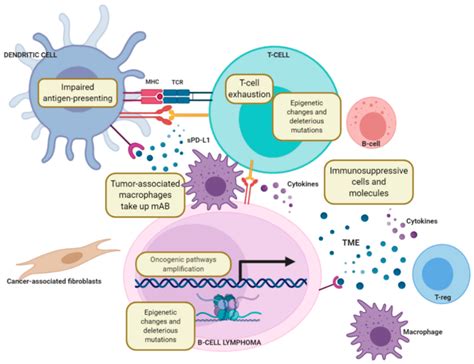 Mechanisms Of Resistance To Immune Checkpoint Blockade The