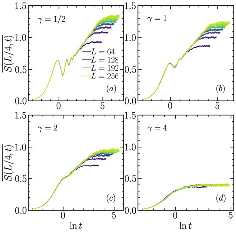 Dynamics Of The Entanglement Entropy Averaged Over N 2000