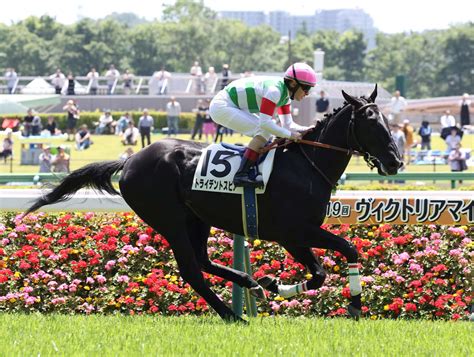 ルメール騎手がドバイでの落馬負傷復帰後初v「早いうちに勝って自信が戻ってくる」／東京4r 競馬写真ニュース 日刊スポーツ