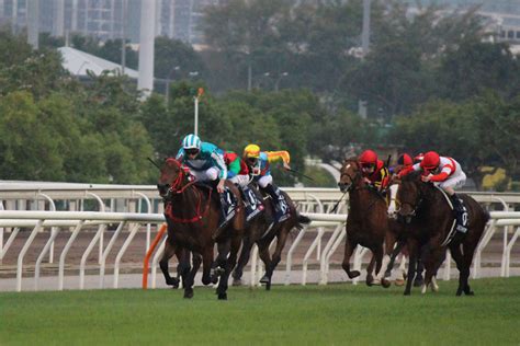 安田記念に香港のロマンチックウォリアー、ヴォイッジバブルなど予備登録 Jra発表 競馬写真ニュース 日刊スポーツ