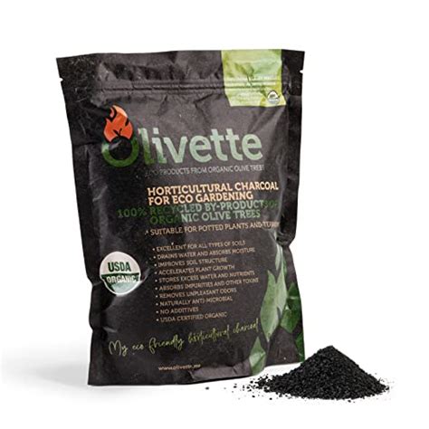 Top 10 Activated Charcoal For Plants of 2022 - Katynel