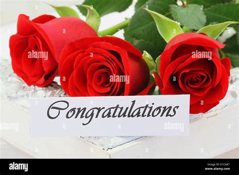 Congratulations card with red roses Stock Photo - Alamy