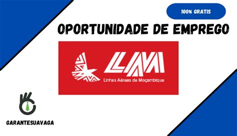 Linhas Aéreas De Moçambique Está A Recrutar Novos Candidatos Moz Noticias