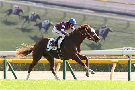 【京都2歳s】シンエンペラーの全兄は凱旋門賞馬ソットサス 良血馬が重賞v狙う サンスポzbat