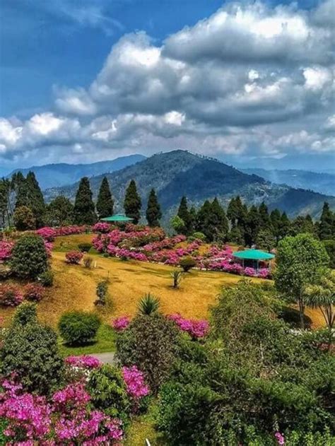 Top 10 One Day Trip Places In Kalimpong - Tourld