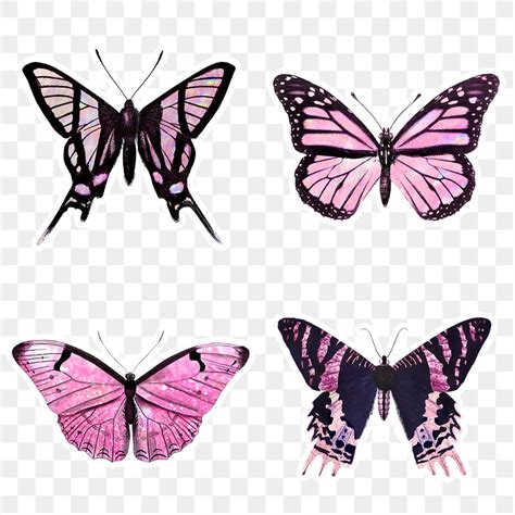 Pink Holographic And Glittery Butterfly Premium Png Rawpixel