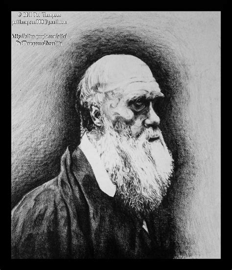 Portrait Of Charles Darwin By Patthompson008 On Deviantart