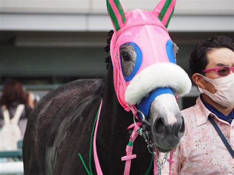 しっぷ On Twitter 220723 福島競馬場 7r 3歳未勝利 馬体重が減っていて心配しましたがパワフルな走りで勝ち上がり