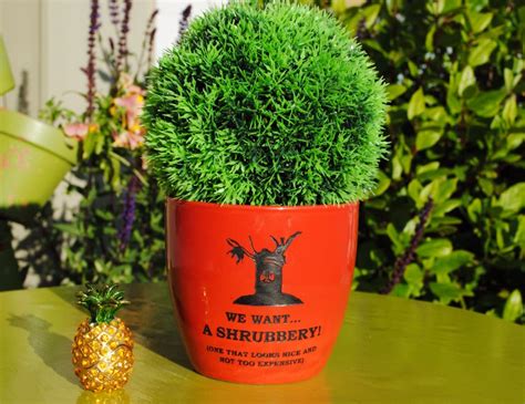 We Want A Shrubbery Monty Python Inspired Etched Flower Pot | Etsy