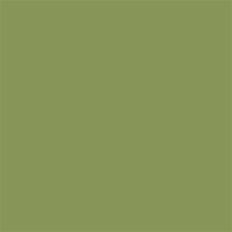 Pale Olive Green Paint Color Code Infoupdate Org