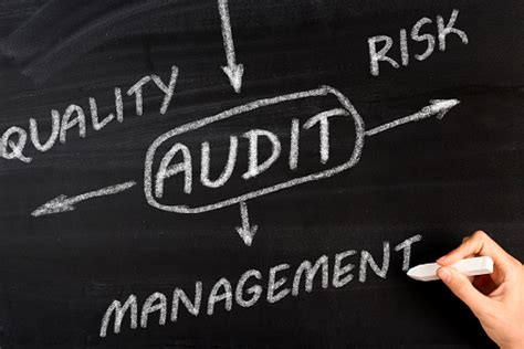 What Is The Role Of The Quality Auditor In Bpo