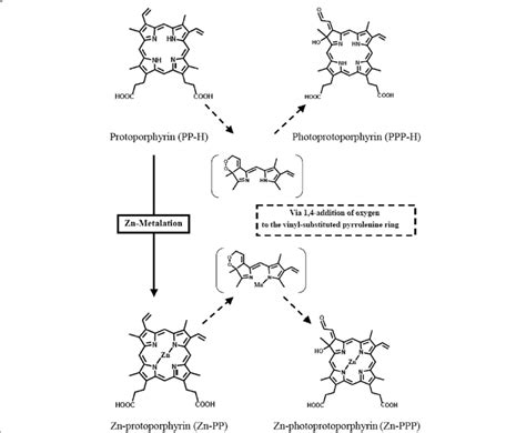 Chemical Structures Of Porphyrin Derivatives Examined In The Present