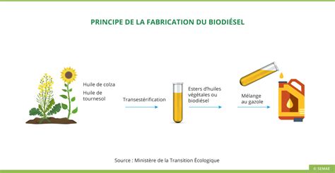 De nombreux débouchés SEMAE Pédagogie