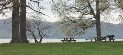 Make Your Picnic Reservations at Westchester County Parks | Yonkers Times