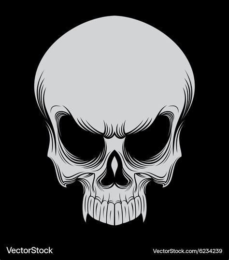 Albums 104+ Pictures Skull Head Free Music Downloads Updated