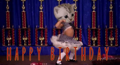 happy birthday dance gif funny - Much Indeed Forum Image Archive