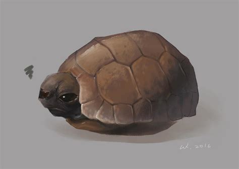 Grumpy Turtle By Sukuankuan On Deviantart