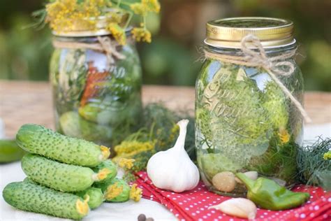 Определены самые вкусные гибриды огурцов для консервации