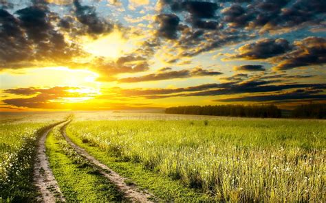 Green Grass Field Landscape Nature Sunset Path Hd Wallpaper