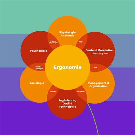 Focus Sur Lergonomie Au Travail Beest Conseil