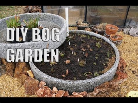 Prepping And Planting DIY Bog Garden Part 2 YouTube