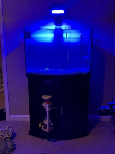 Build Thread 36 Gallon Bowfront REEF2REEF Saltwater And Reef