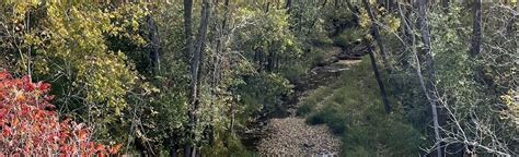 Hidden Valley Park Path, Wisconsin - 16 Reviews, Map | AllTrails