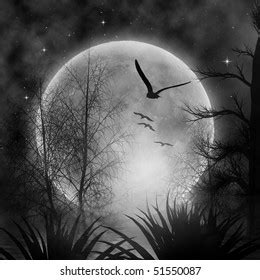 Autumn Night Full Moon Stock Illustration 51550087 | Shutterstock