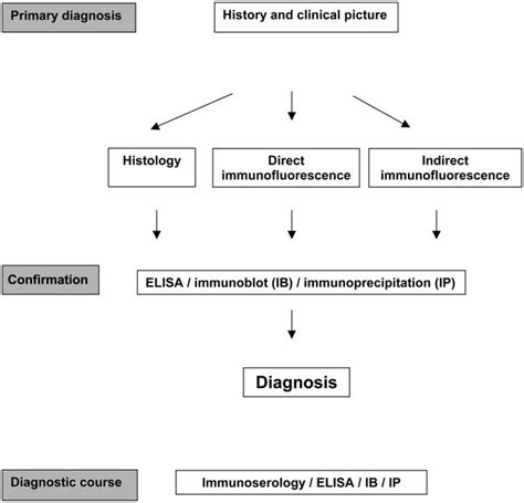 Diagnosis Of Bullous Autoimmune Skin Diseases Download Scientific