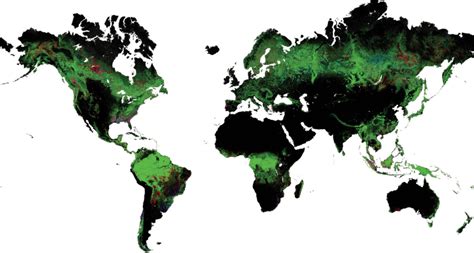 Online map tracks forest shifts from space