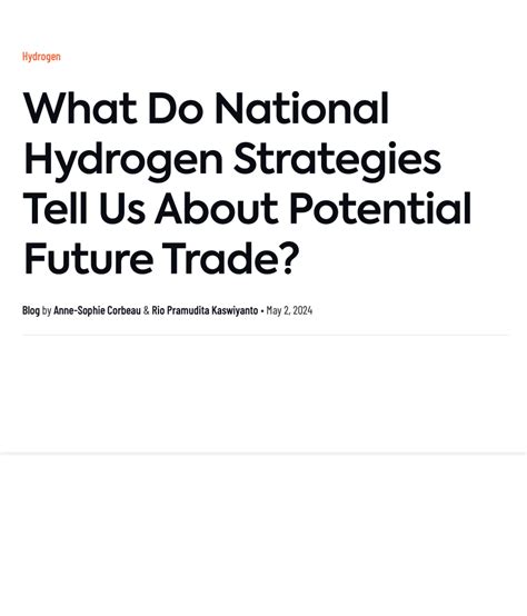 What Do National Hydrogen Strategies Tell Us About Potential Future