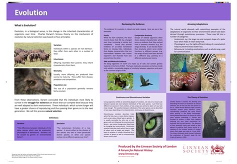 Evolution Poster | Teaching Resources