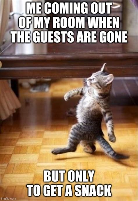 When The Guests Are Gone Imgflip