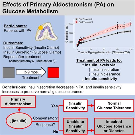 Primary Aldosteronism Decreases Insulin Secretion And Increases Insulin