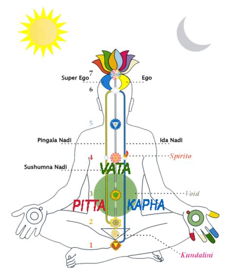 Les 3 énergies vitales les Dosha Santé et Energie