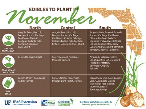 Vegetables To Plant In November Gardening Solutions University Of