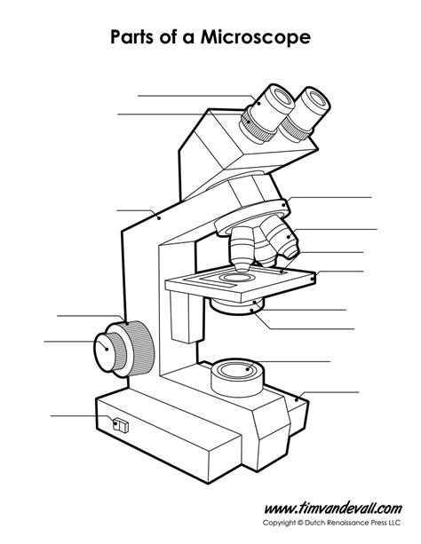 Microscope Diagram Labeled, Unlabeled and Blank | Parts of a Microscope