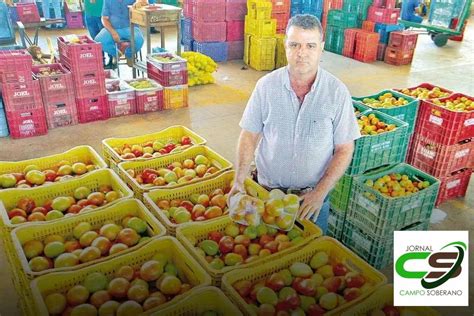 Motivos Para Escolher Os Melhores Fornecedores De Produtos Agr Colas